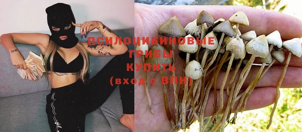 СК Липки