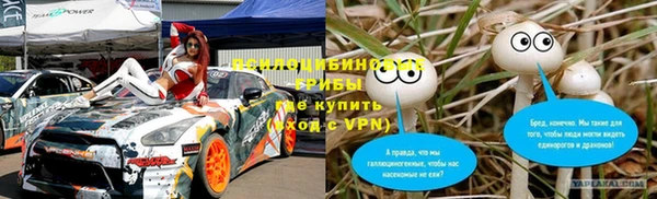 шишки Ачинск